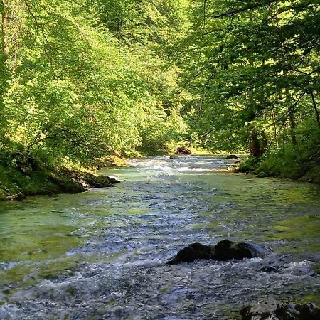 Apartma Marjetica Blejska Dobrava Buitenkant foto