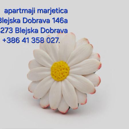 Apartma Marjetica Blejska Dobrava Buitenkant foto