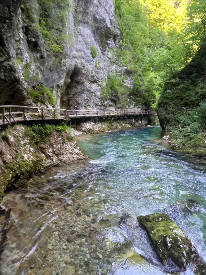 Apartma Marjetica Blejska Dobrava Buitenkant foto