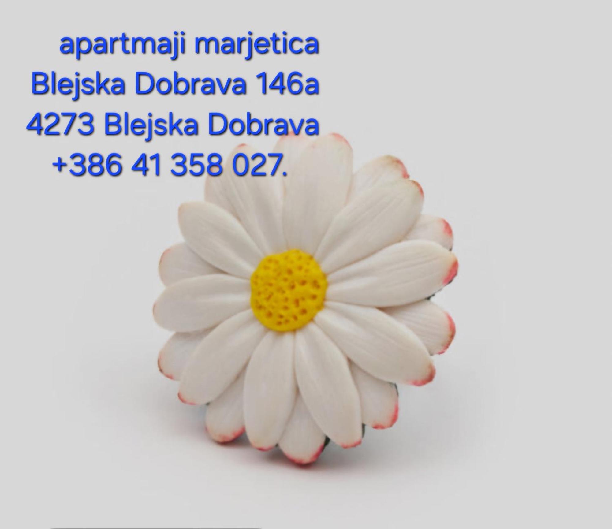 Apartma Marjetica Blejska Dobrava Buitenkant foto