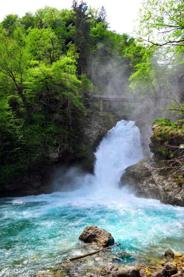 Apartma Marjetica Blejska Dobrava Buitenkant foto
