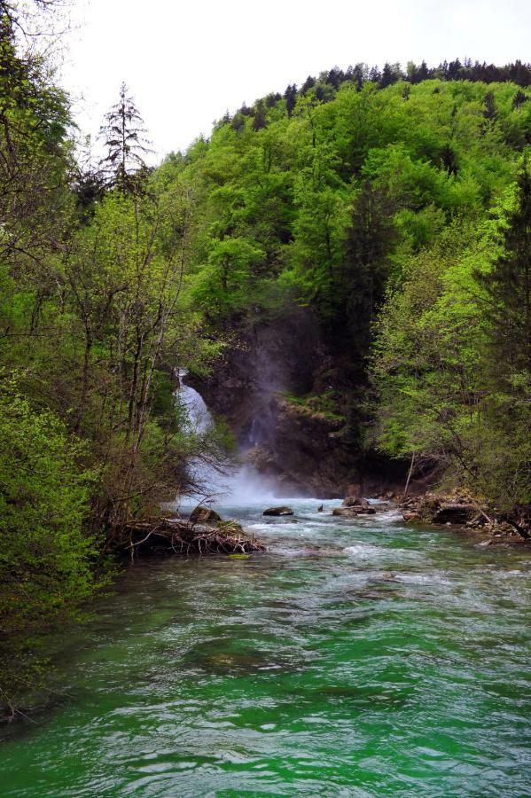 Apartma Marjetica Blejska Dobrava Buitenkant foto