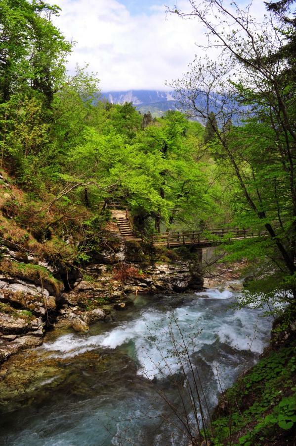 Apartma Marjetica Blejska Dobrava Buitenkant foto