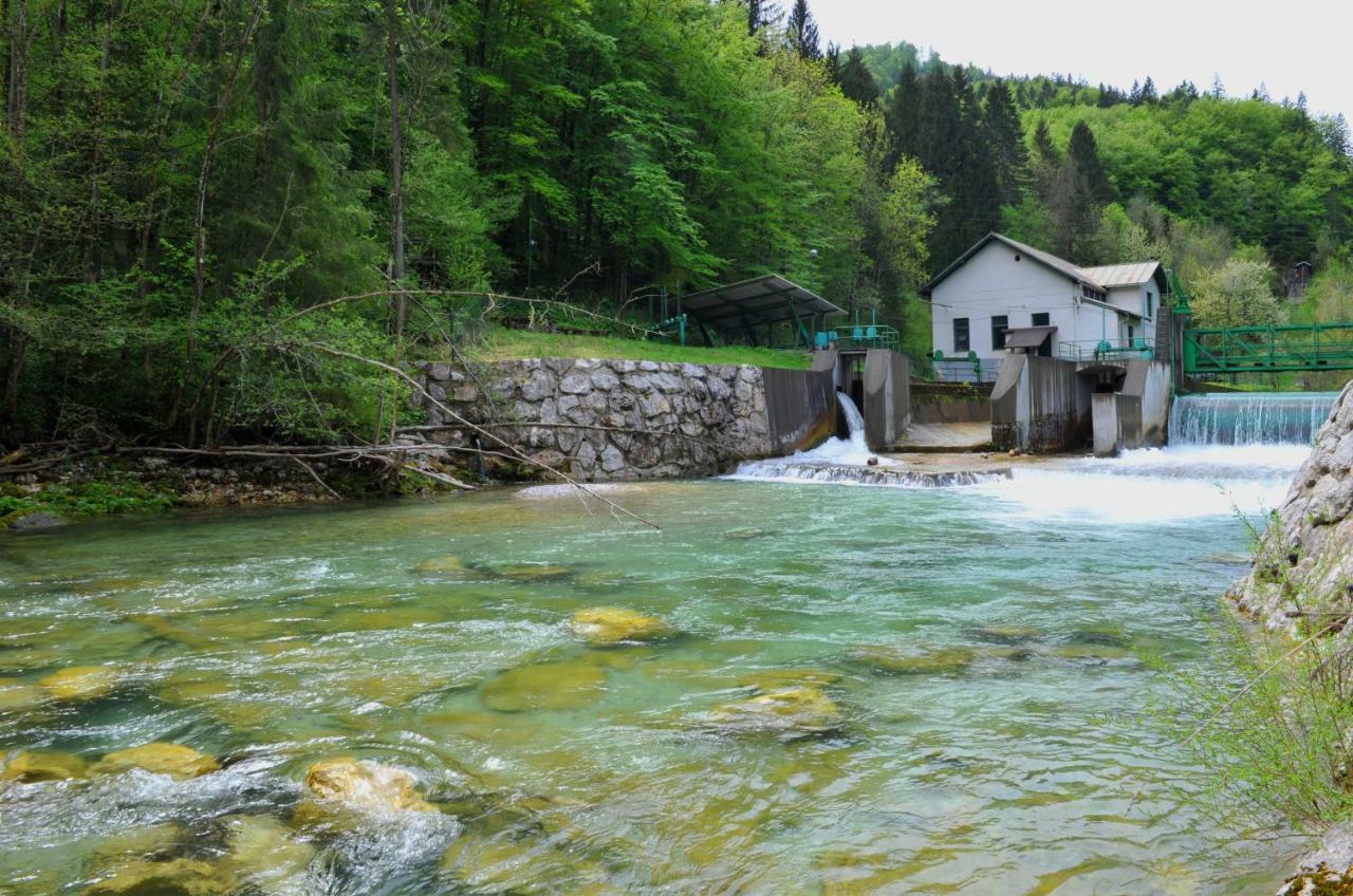 Apartma Marjetica Blejska Dobrava Buitenkant foto